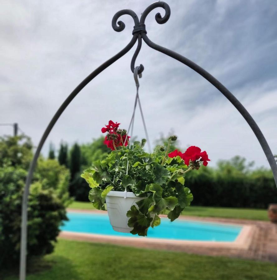 B&B Il Casolare Di Bonci Санта-Мария-а-Монте Экстерьер фото