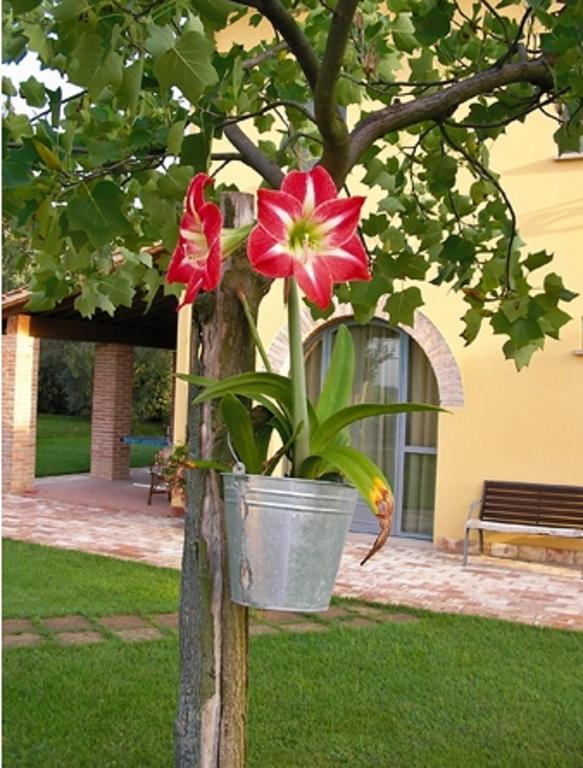 B&B Il Casolare Di Bonci Санта-Мария-а-Монте Экстерьер фото